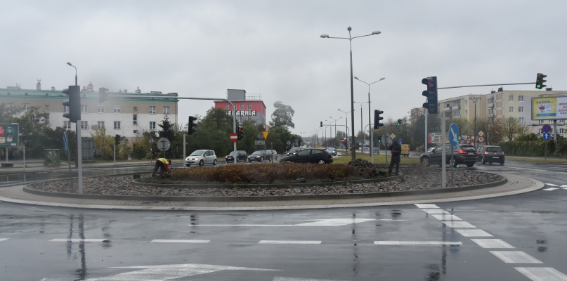 Na rondzie i przylegających do niego trawnikach zostanie posadzonych 5 drzew oraz 306 krzewów. Fot. DDWloclawek.pl