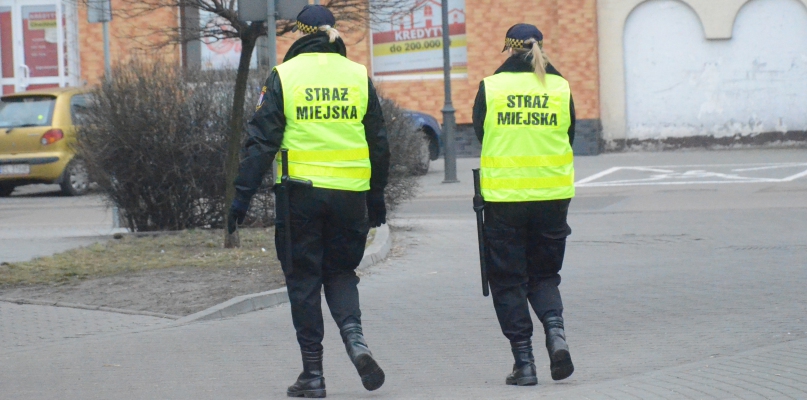 Eko-patrol ma wyróżniać się szybkością reakcji na wezwania dotyczące dzikich zwierząt. Fot. DDWloclawek.pl