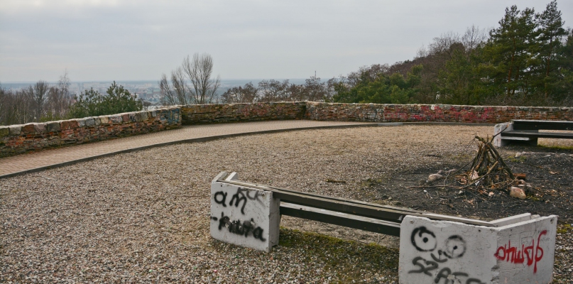 Obecnie z tego miejsca trudno zobaczyć całą panoramę Włocławka. Wszystko przez drzewa, które rosną na gruntach prywatnych. fot. Łukasz Daniewski