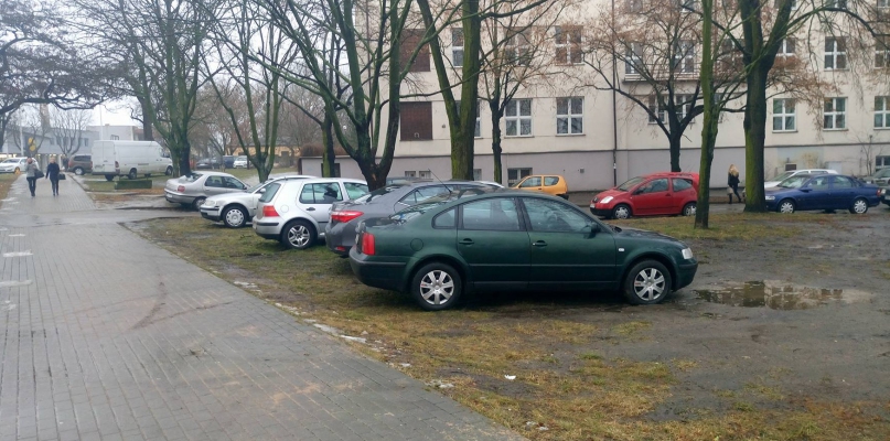 Strażnicy miejscy kontrolują kierowców parkujących na trawnikach przy KSW. Fot. nadesłane