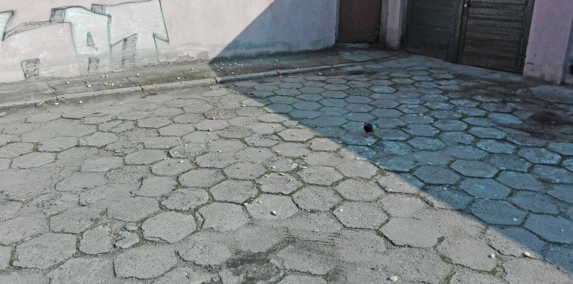 Rozsypywanie pokarmu na trawnikach, chodnikach, parkingach i na terenie przyległym do budynków sprzyja rozprzestrzenianiu się chorób, stwarza dogodne warunki egzystowania szczurów w budynkach