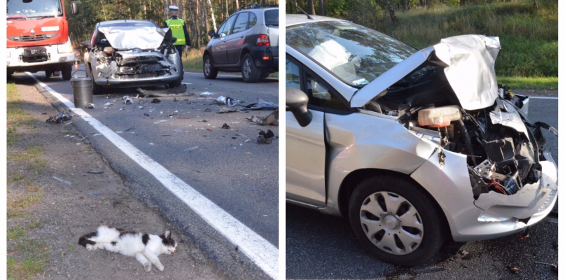Kierowca forda uderzył w tył jadącego przed nim renault. Fot. DDWloclawek.pl