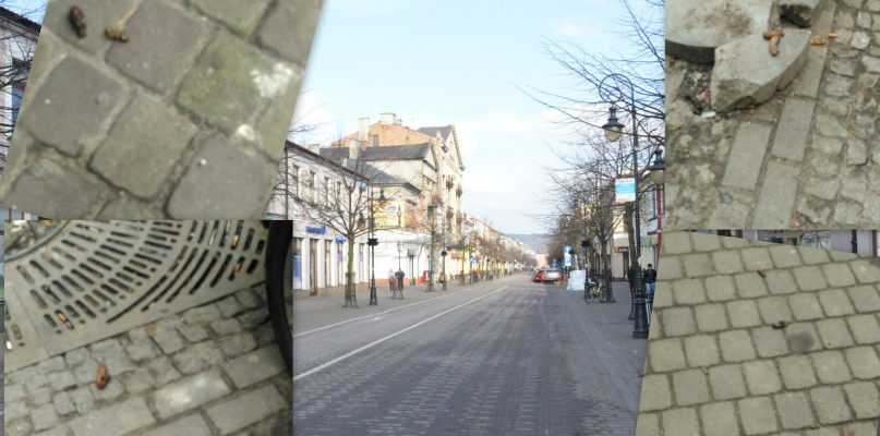 Włocławianka idąca ulicą 3 Maja przysyłała nam zdjęcia kup, na które natknęła się na swej drodze. Fot. nadesłane/DDWloclawek.pl
