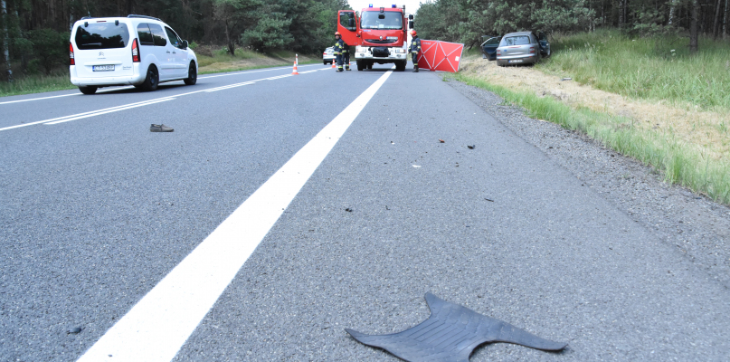Do wypadku doszło w poniedziałek około godziny 13 na drodze krajowej 91 na wysokości miejscowości Warząchewka Polska. Fot. DDWloclawek.pl