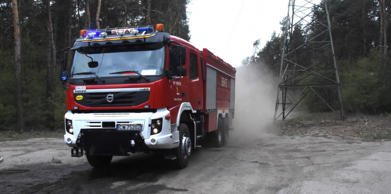 18 zdarzeń, w których brali udział strażacy dotyczyło działań związanych z usuwaniem skutków silnego wiatru. Fot. Grażyna Sobczak
