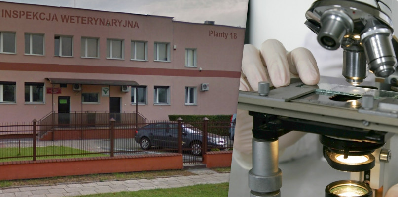 Laboratorium klasy BSL3 ma powstać na terenie Wojewódzkiego Inspektoratu Weterynarii przy ul. Planty. Fot. googlemaps/depositphotos.com