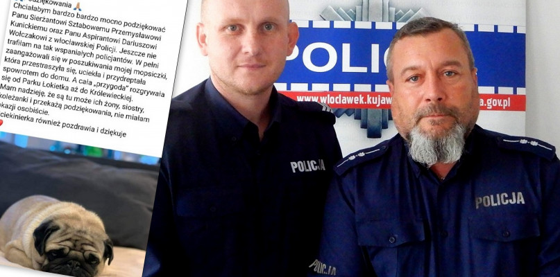 Właścicielka zagubionej mopsiczki chwali policjantów za zaangażowanie w nietypową sprawę. Fot. KMP Włocławek/Facebook