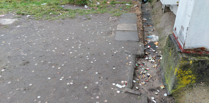 Włocławek: SM Zazamcze wyjaśnia, skąd bierze się problem zaśmiecania terenu przy garażach. Fot. nadesłane