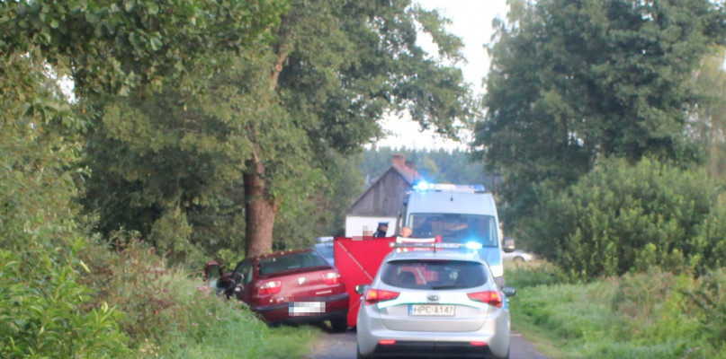 33-latka zginęła na drodze w Mursku. Fot. KMP Włocławek. 