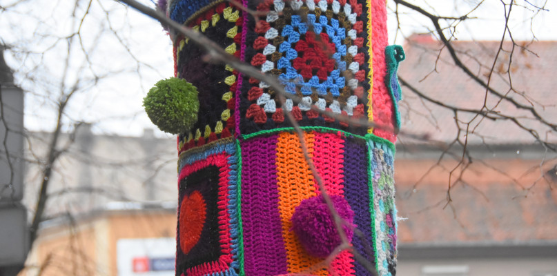 Drzewo przy ul. Złotej zyskało kolorowy sweterek na zimę. Fot. Natalia Seklecka