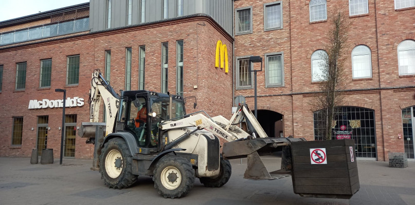 Drzewa sprzed CK Wzorcownia zostaną zasadzone na os. Południe. Fot. nadesłane