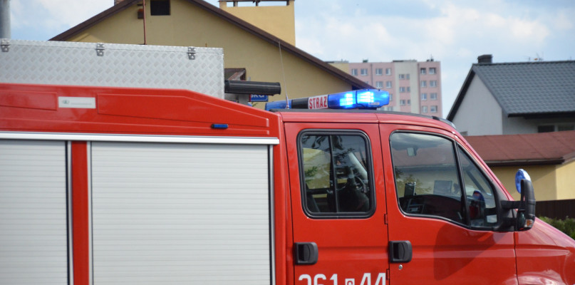 Strażaków wezwano rano do kilku szkół podstawowych. Fot. DDWloclawek.pl