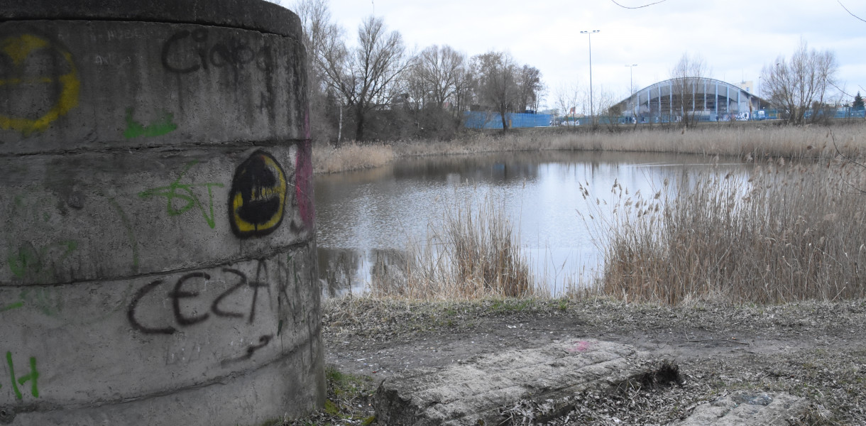 Włocławski ratusz chce stworzyć Park Grzywno na terenie dawnego osiedla. Fot. DDWloclawek.pl