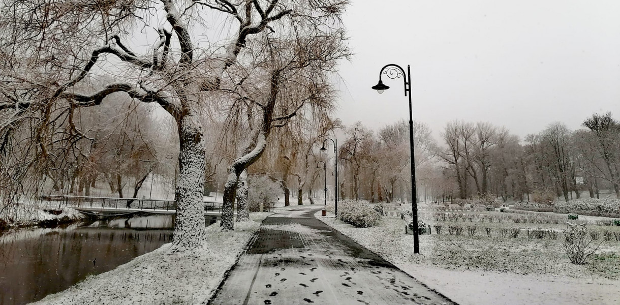 Pogoda we WŁocławku: Wrócą mrozy, ale śniegu raczej nie należy się spodziewać. Fot. Anita Gerwatowska/Fotki z Włocławka
