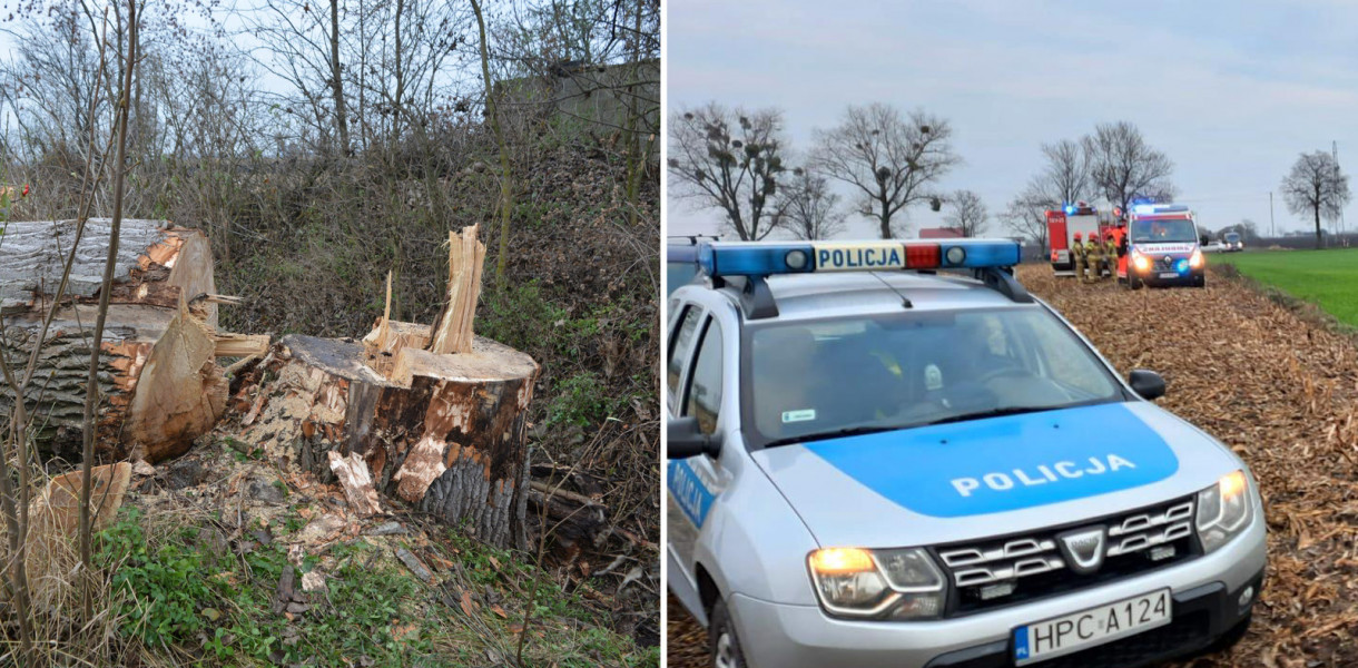 W gm. Radziejów doszło do wypadku przy wycince drzew. Fot. KPP Radziejów