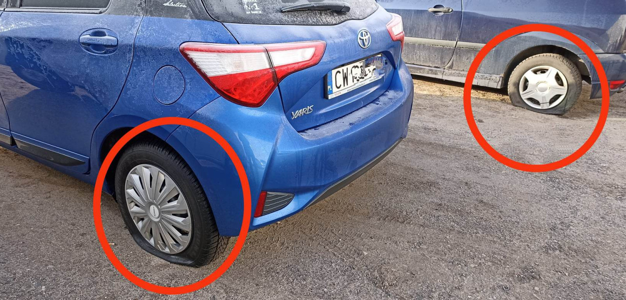 Fot. DD. 