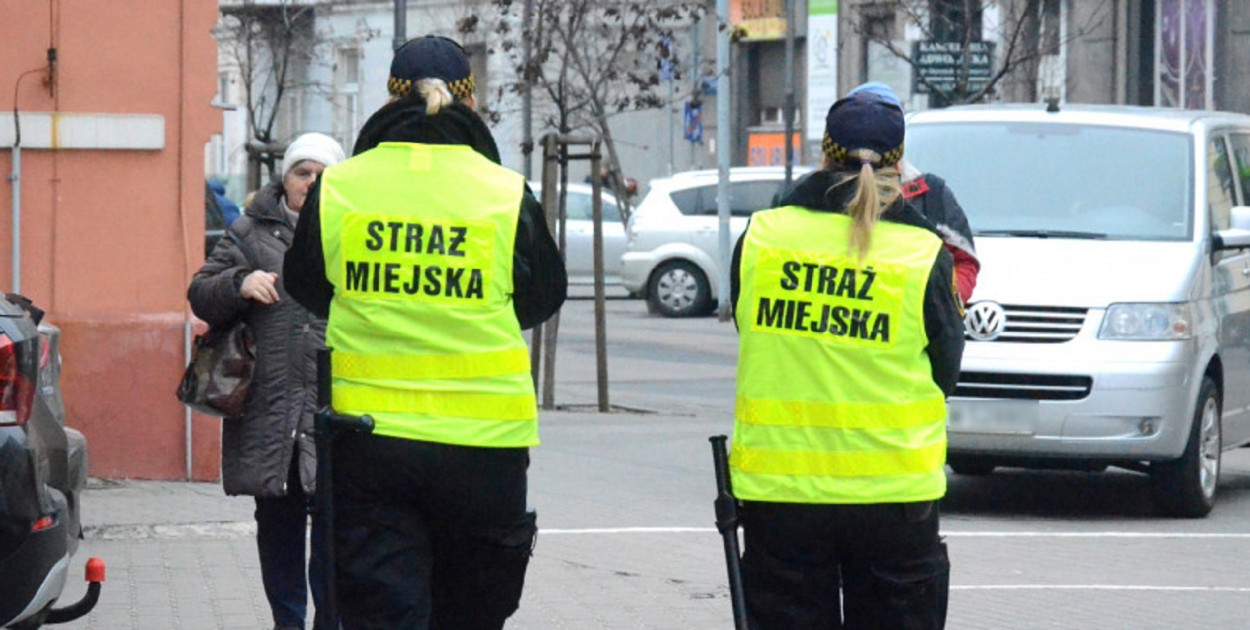Straż Miejska we Włocławku potrzebuje trzech nowych pracowników. Fot. archiwum DDWloclawek.pl