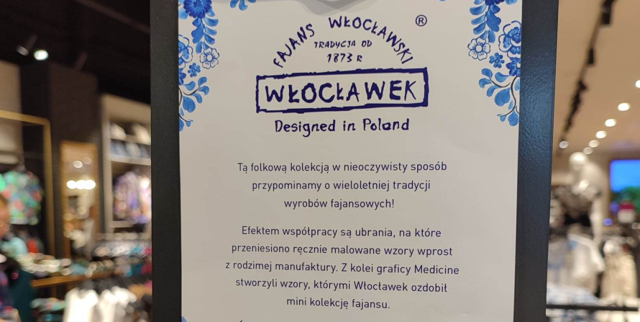 ddwloclawek.pl