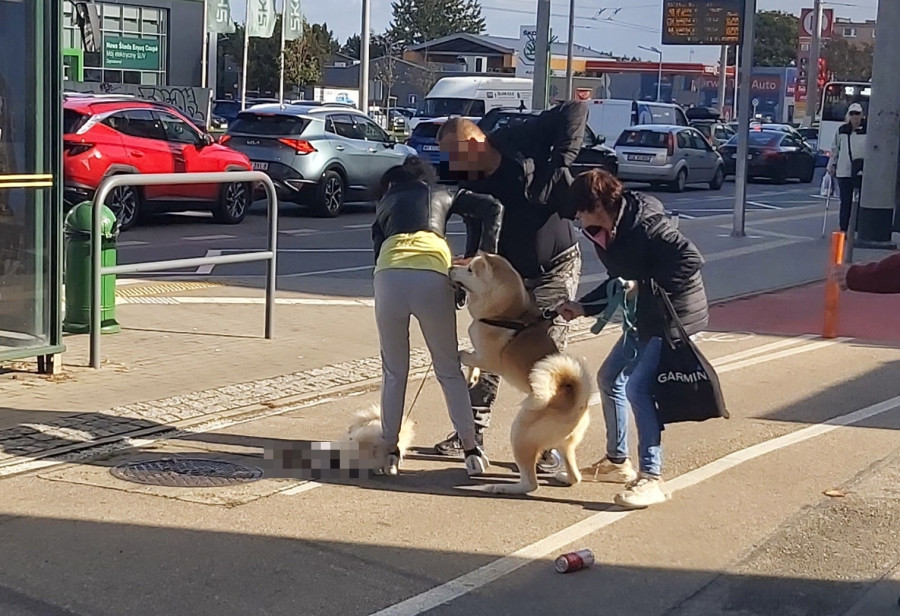 Fot. Maria / czytelniczka Trojmiasto.pl
