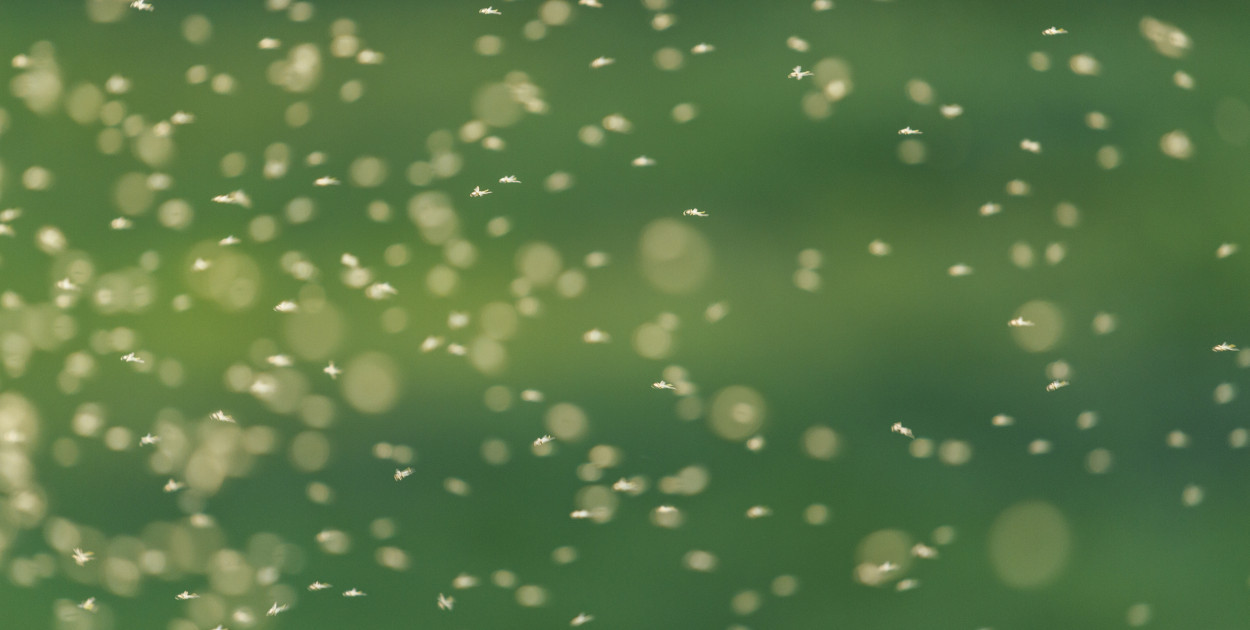 Fot. depositphotos.