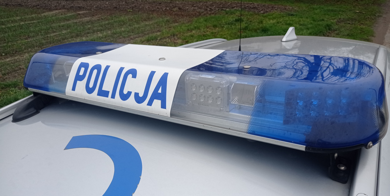 Fot. Szymon Tomasik / siecportali.pl