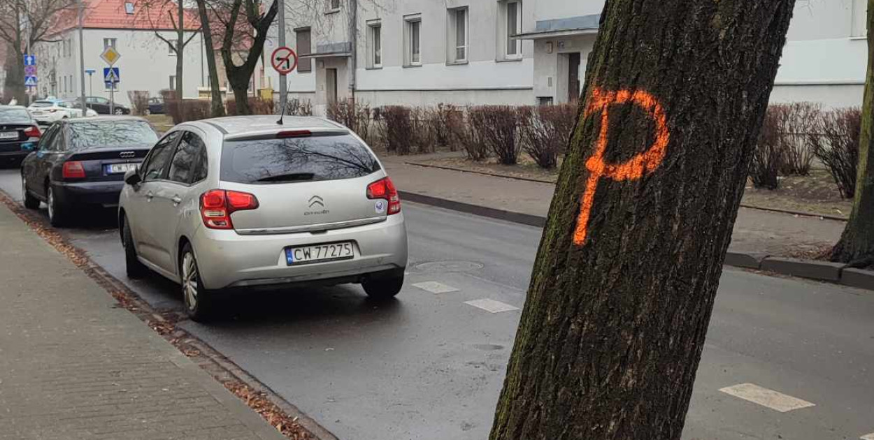 Fot. DD. 
