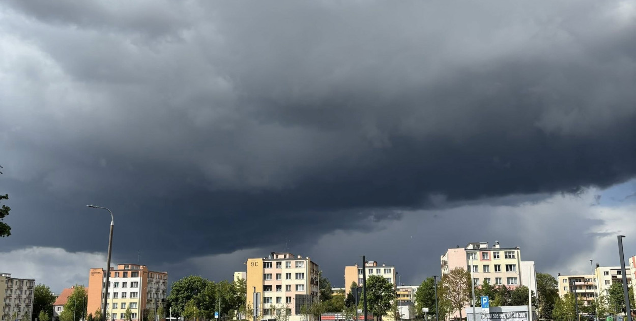 Fot. Lidia Gralikowska / Fotki z Włocławka