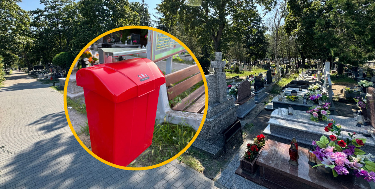 Fot. Archiwum DD / nadesłane