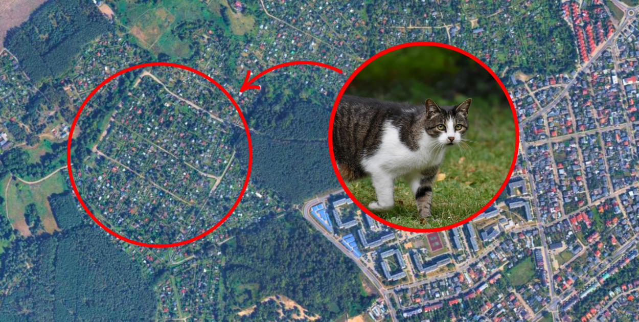 Fot. Google Maps / Obraz Ralph z Pixabay