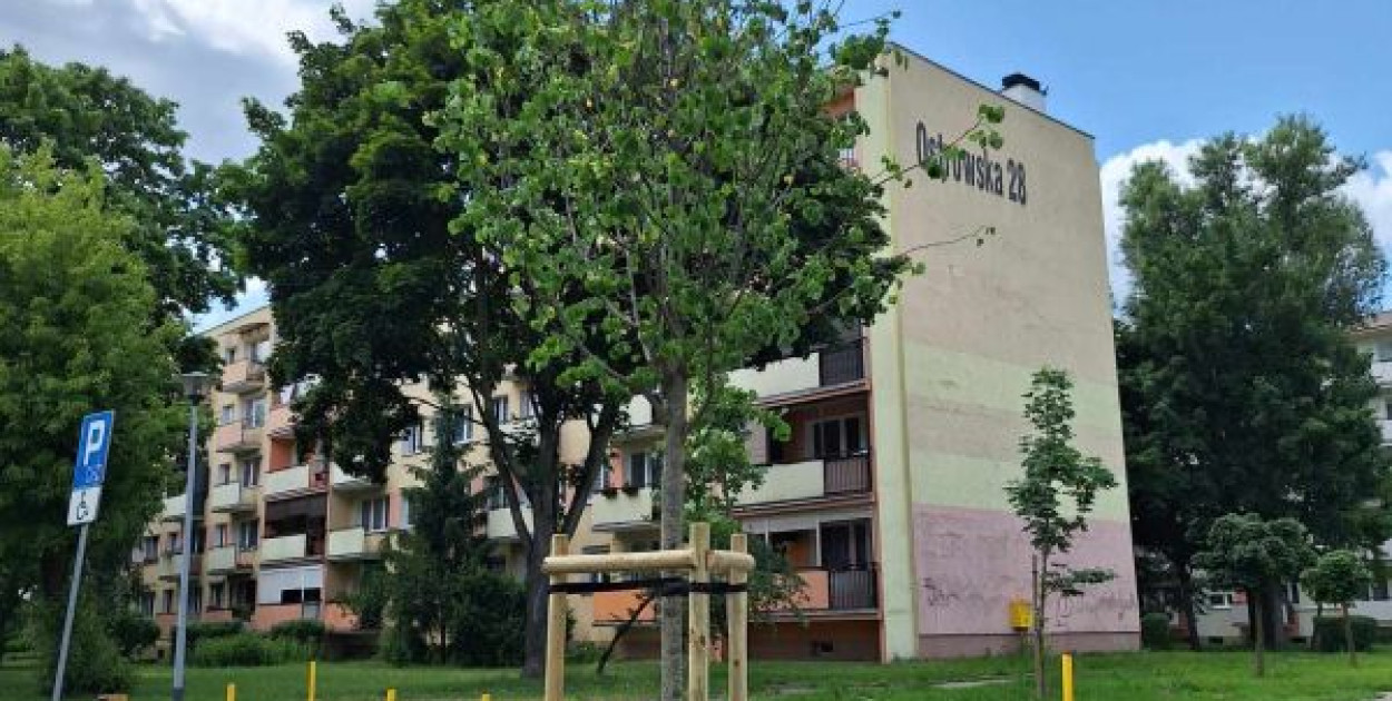 Fot. MZDiZ we Włocławku