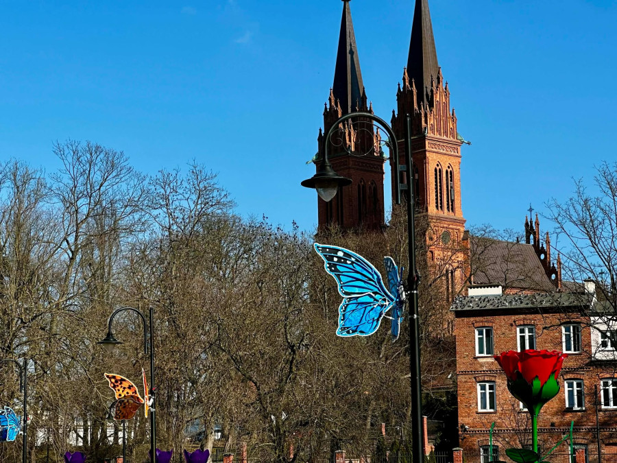 Fot. DD | Iluminacje zmieniły lokalizację, teraz można je zobaczyć w Parku Sienkiewicza