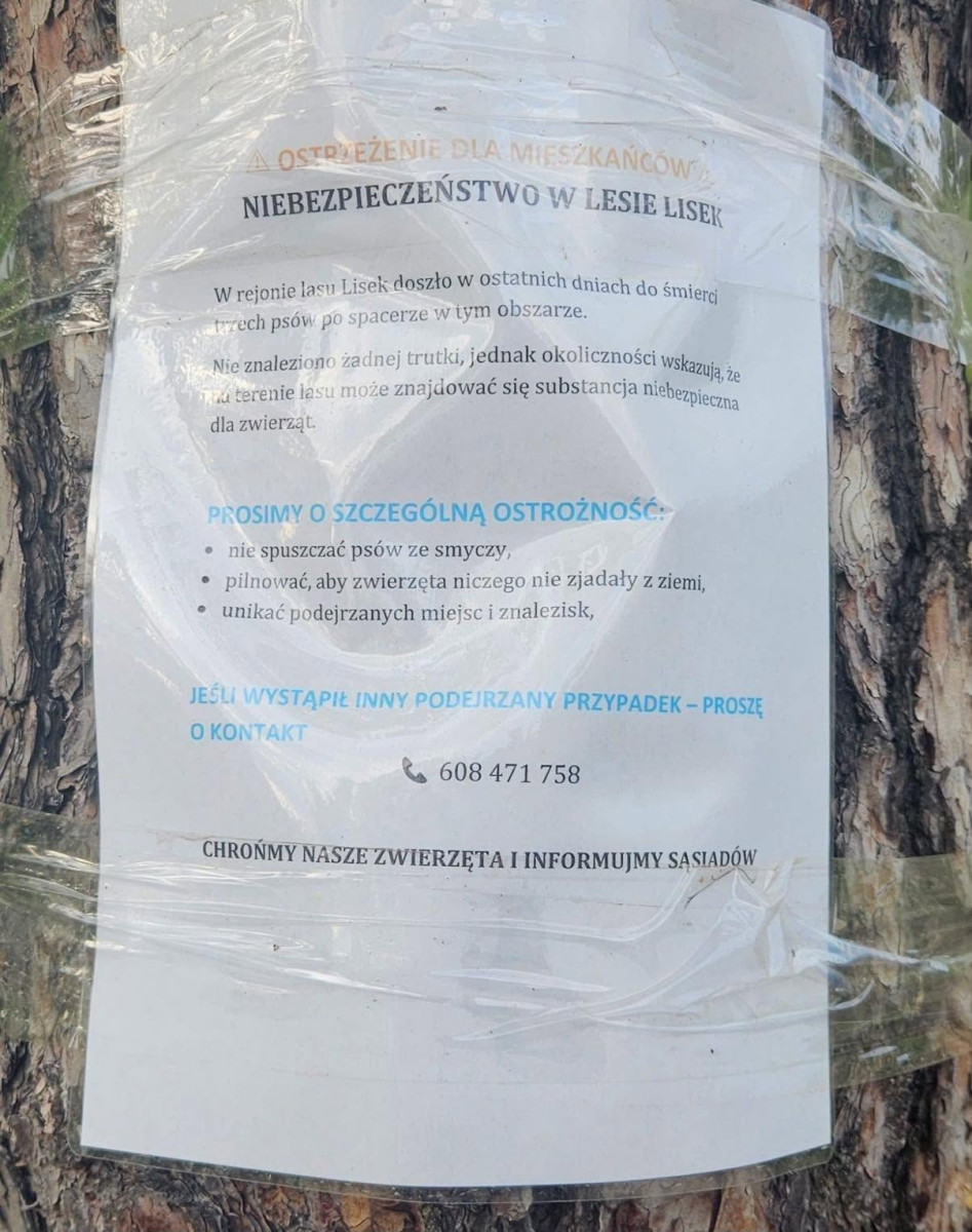 Fot. Nadesłane
