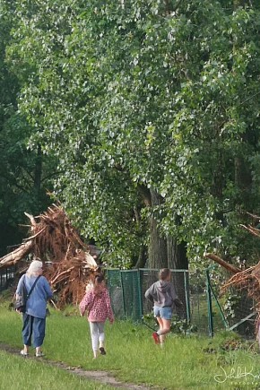 Zazamcze w strzępach. Nawałnica wyrywała drzewa-20709