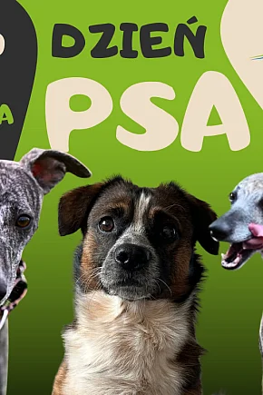 Projekt: Pokaż Swojego Pupila! Z okazji Dnia Psa-20881