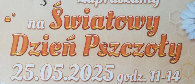 Światowy Dzień Pszczoły na Starym Rynku
