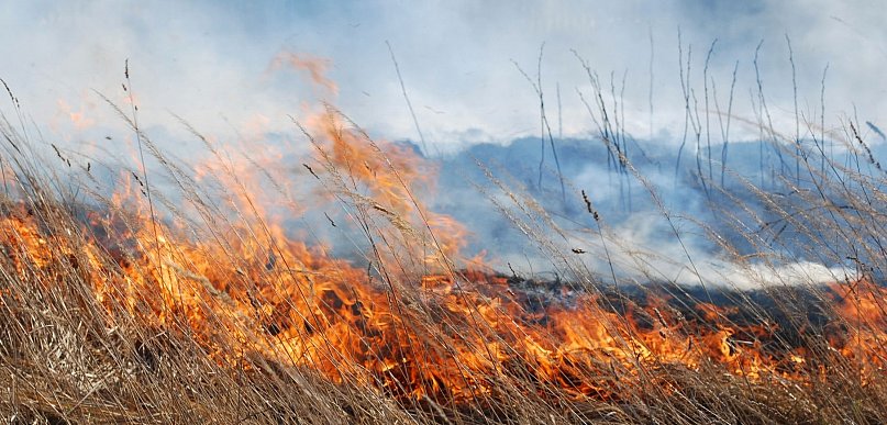 Groźny pożar pod Włocławkiem. W akcji 6 zastępów strażackich