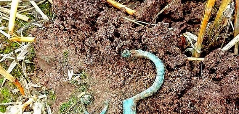 Sensacja archeologiczna w Kruszynie! Odkryli unikat sprzed prawie 2 tysięcy lat