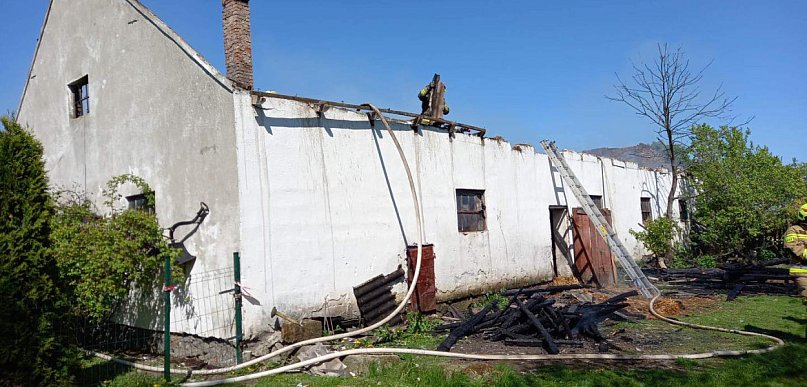 Pożar obory pod Włocławkiem. Mężczyzna z poparzoną twarzą, ewakuowano zwierzęta
