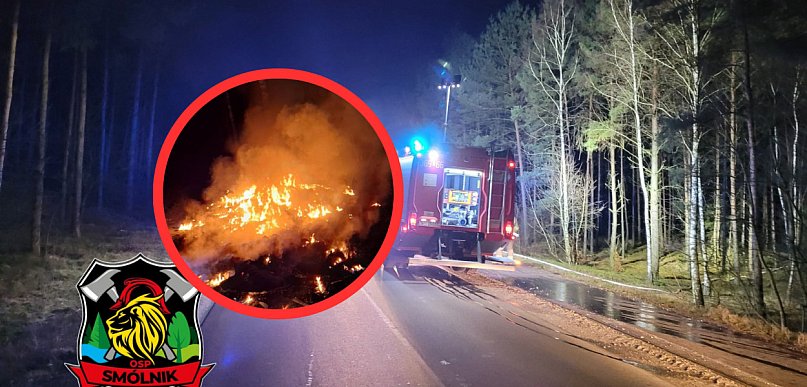 Strażacy gasili śmieci w środku lasu. Cztery zastępy na miejscu