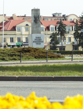 Radny Lewicy broni pomnika na placu Wolności. "Odczucie dużej części mieszkańców"-53631
