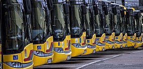 Kolejne autobusy przyjadą do Włocławka. Miasto zamawia 
