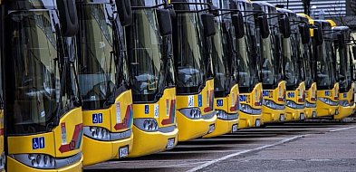 Kolejne autobusy przyjadą do Włocławka. Miasto zamawia nowe pojazdy-67618
