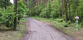 Koniec z błotem na tej drodze. Powstanie asfalt
