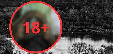 Szokujące odkrycie włocławianina! Znalazł ludzkie szczątki nad Wisłą [FOTO]-79580