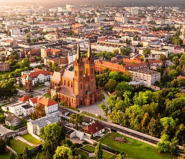 Zabytkowe organy znów zagrają. Katedralne koncerty wracają -79555