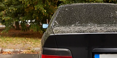 Nagminny błąd wielu. O konsekwencjach przekonał się kierowca BMW-79746