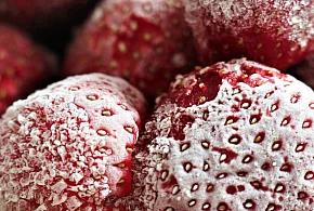 Salmonella w truskawkach z Biedronki. GIS ostrzega przed tą partią-79813