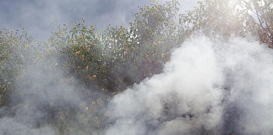Wieczorem nad miastem pojawi się dym. Działania na wszystkich osiedlach-80122