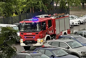 Południe bez prądu po nawałnicy. Region też z problemami-80435