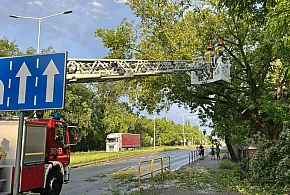 Strażacki maraton po burzy. Prawie 100 zgłoszeń w kilka godzin-80440